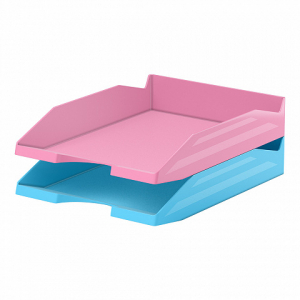 55546 ����� �� 2 ����������� ������ ��� ����� ErichKrause Office, Pastel, ������� � �������