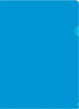 816353 -  -E310/1BLU A4  0.18 