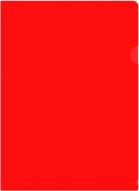 816360 -  -E310N/1RED  A4  0.18 