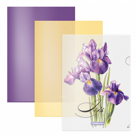 54820   3 -  ErichKrause Soft Iris, 4, , 
