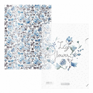 54041 ����� �� 4 �����-������� ����������� ErichKrause Frozen Beauty, A4, �������