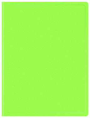 1131752   10 ..  Double Neon DNE07V10LETT A4  0.7 
