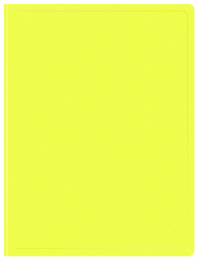 1131742   20 ..  Double Neon DNE07V20YEL A4  0.7 