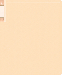 1014871 ����� � 40 �����.�����. �������� Gems GEM40CREAM A4 ������� 0.7�� ����.���� � ���. ����� �������� ������