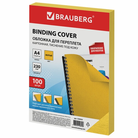 530950    , 4,  100 .,   , 230 /2, , BRAUBERG, 530950