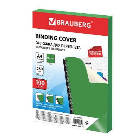 530954    , 4,  100 ., , 250 /2, , BRAUBERG, 530954