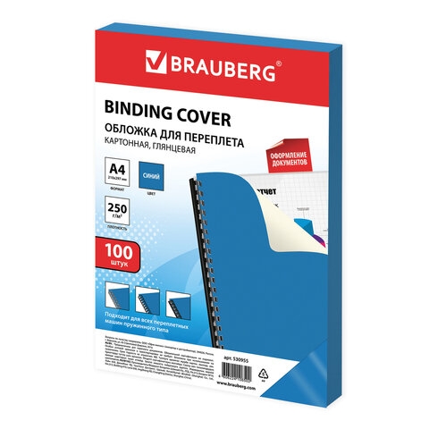 530955    , 4,  100 ., , 250 /2, , BRAUBERG, 530955