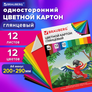 129917 ������ ������� �4 ���������� (���������), 12 ������ 12 ������, � �����, BRAUBERG, 200�290 ��, �������������