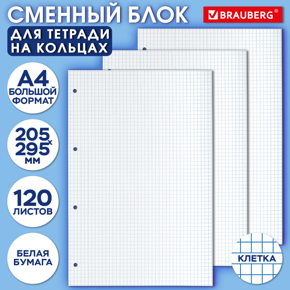 404518 Сменный блок к тетради на кольцах БОЛЬШОГО ФОРМАТА А4, 120 л., BRAUBERG, Белый
