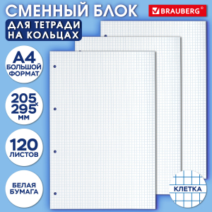404518 ������� ���� � ������� �� ������� �������� ������� �4, 120 �., BRAUBERG, �����