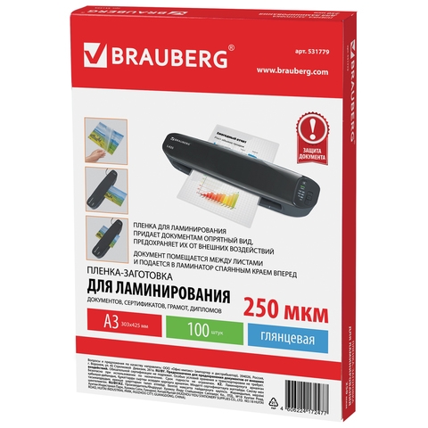 531779 -    , 3,  100 ., 250 , BRAUBERG, 531779