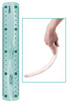 244120 MAPED Flex  20 , , ,  ,  