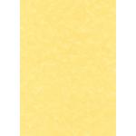SCL2059 - 4, 95 ,  , 25 .