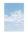 DPF501 DECADRY -  (Sky), 4, 80/., 100